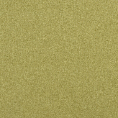 CLARKE AND CLARKE F0848/12.CAC.0 HIGHLANDER FERN Fabric - Eade's Wallpaper