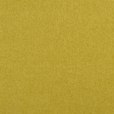 CLARKE AND CLARKE F0848/24.CAC.0 HIGHLANDER PALM Fabric - Eade's Wallpaper