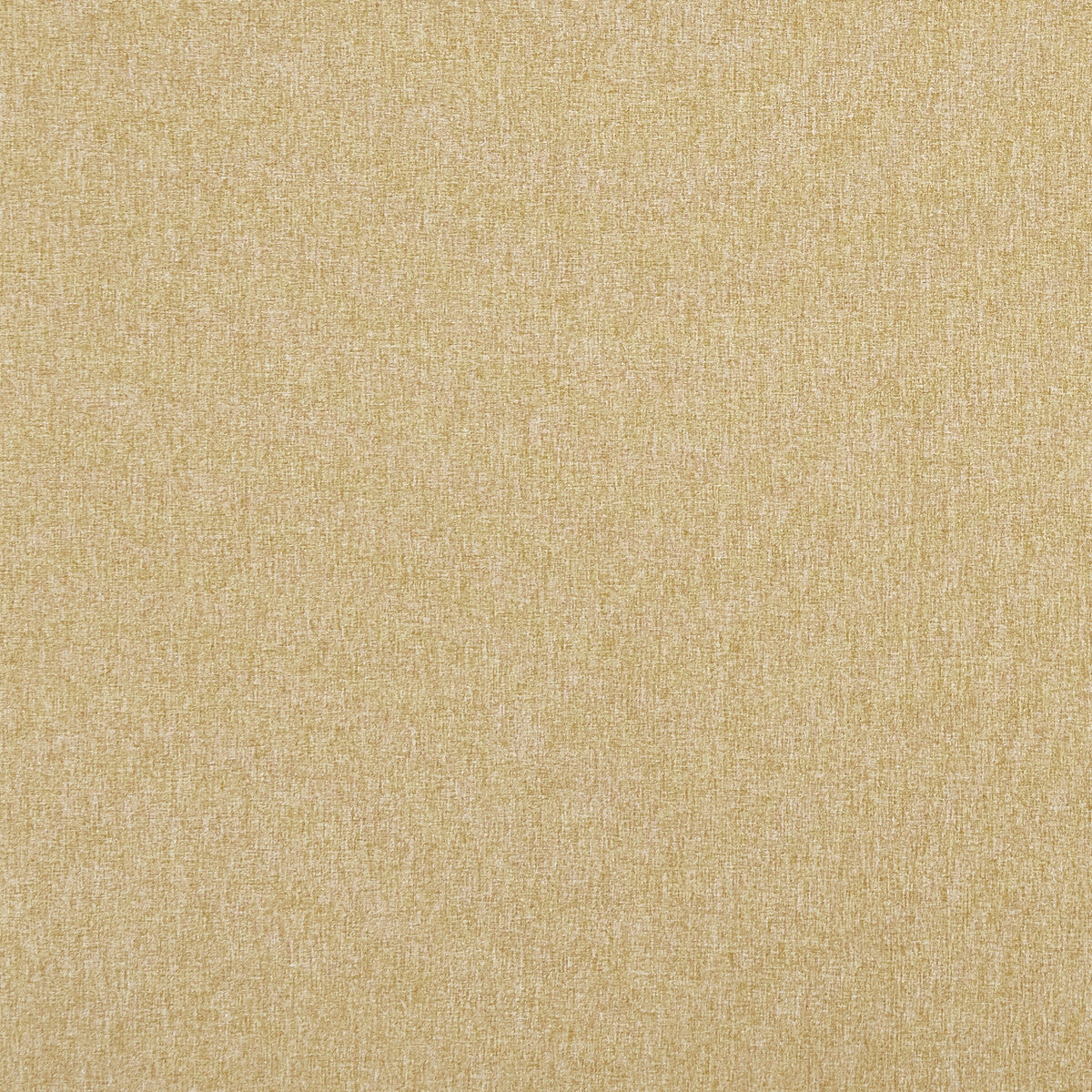 CLARKE AND CLARKE F0848/49.CAC.0 HIGHLANDER HARVEST Fabric - Eade's Wallpaper