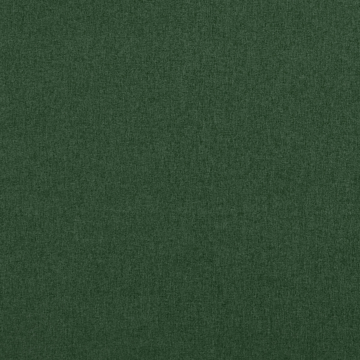 CLARKE AND CLARKE F0848/58.CAC.0 HIGHLANDER MOSS Fabric - Eade's Wallpaper