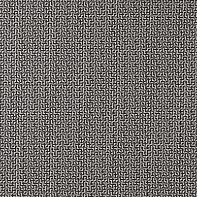 CLARKE AND CLARKE F0903/01.CAC.0 BW1030 BLACK/WHITE Fabric - Eade's Wallpaper