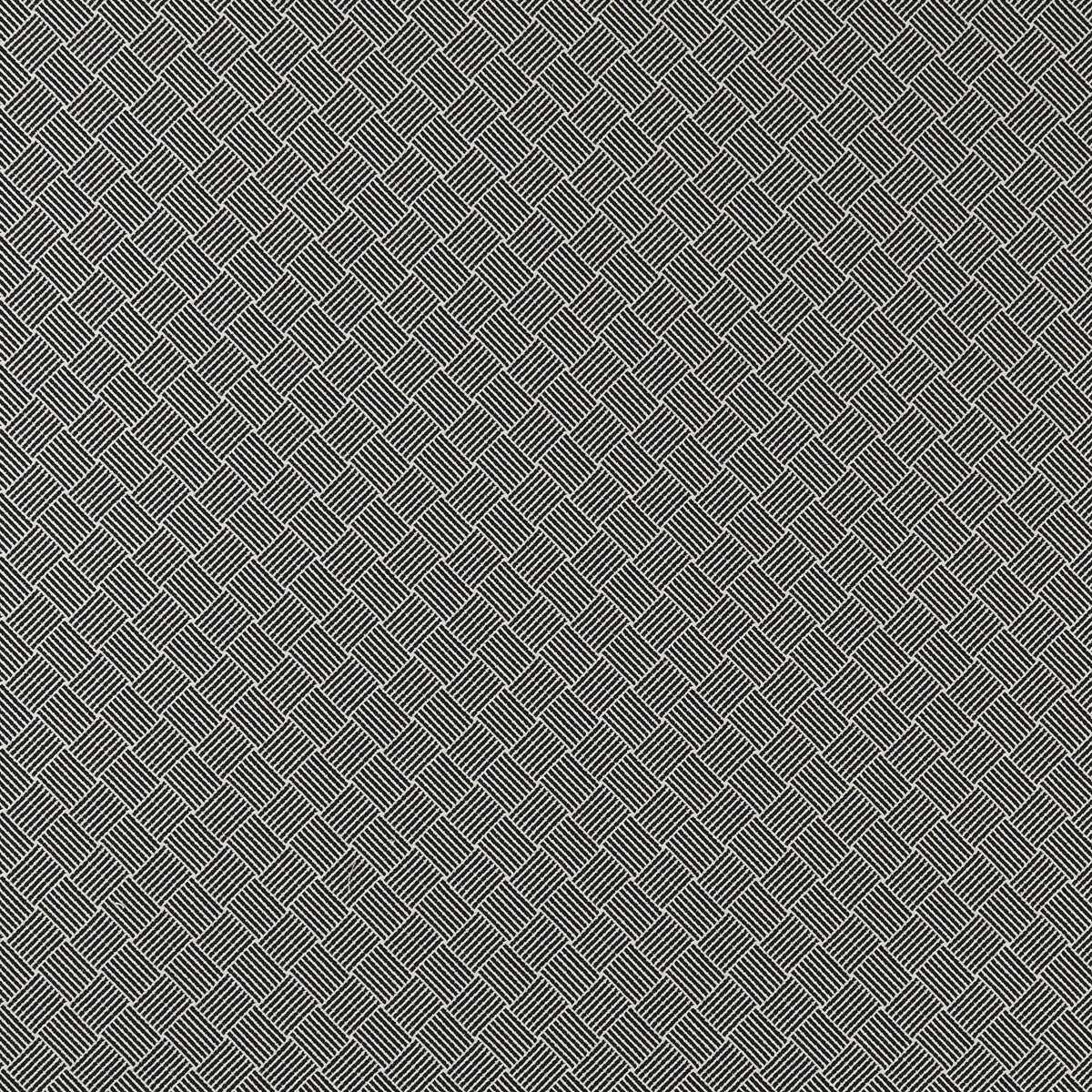 CLARKE AND CLARKE F0904/01.CAC.0 BW1031 BLACK/WHITE Fabric - Eade's Wallpaper