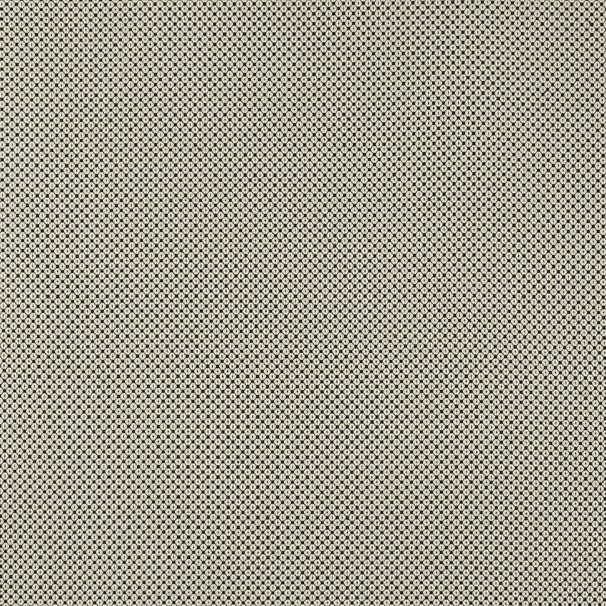 CLARKE AND CLARKE F0906/01.CAC.0 BW1033 BLACK/WHITE Fabric - Eade's Wallpaper