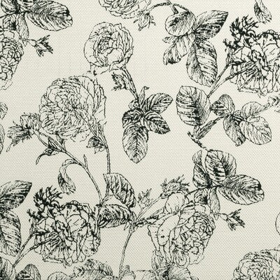 CLARKE AND CLARKE F0908/01.CAC.0 BW1035 BLACK/WHITE Fabric - Eade's Wallpaper