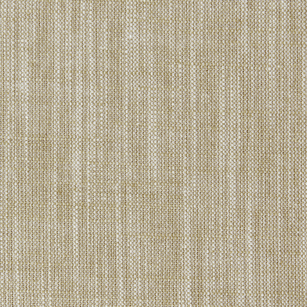 CLARKE AND CLARKE F0965/04.CAC.0 BIARRITZ BAMBOO Fabric - Eade's Wallpaper