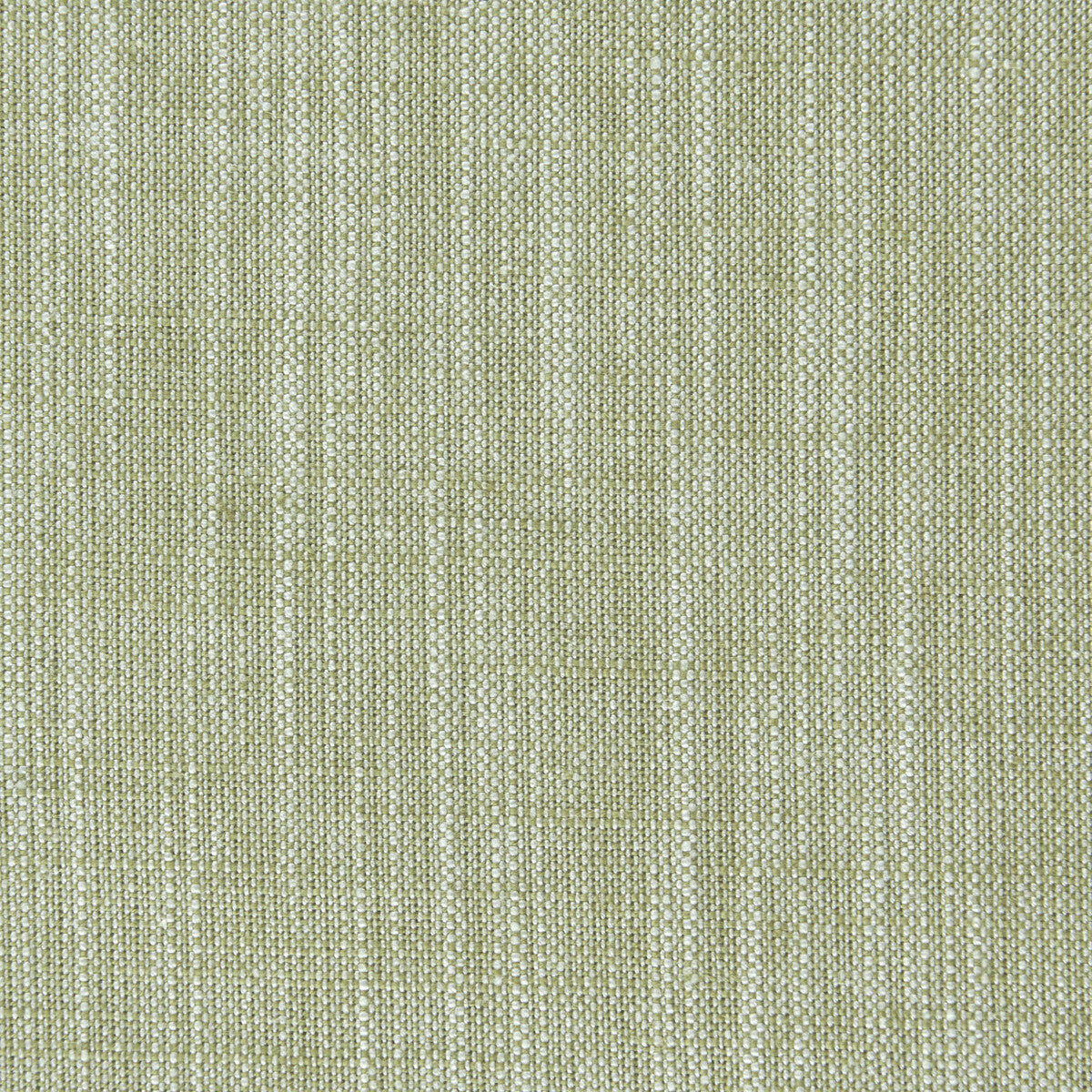 CLARKE AND CLARKE F0965/16.CAC.0 BIARRITZ EUCALYPTUS Fabric - Eade's Wallpaper