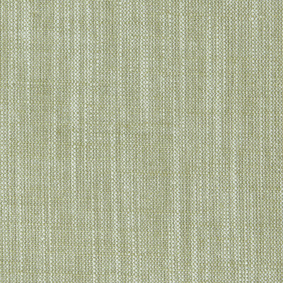 CLARKE AND CLARKE F0965/16.CAC.0 BIARRITZ EUCALYPTUS Fabric - Eade's Wallpaper