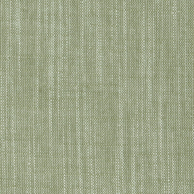 CLARKE AND CLARKE F0965/36.CAC.0 BIARRITZ PARSLEY Fabric - Eade's Wallpaper