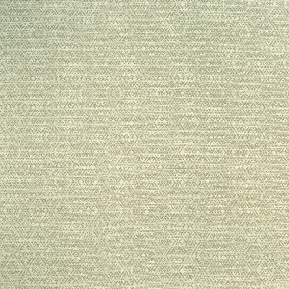 CLARKE AND CLARKE F1005/04.CAC.0 HAMPSTEAD NATURAL Fabric - Eade's Wallpaper