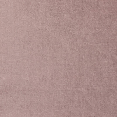 CLARKE AND CLARKE F1069/05.CAC.0 ALLURE BLUSH Fabric - Eade's Wallpaper