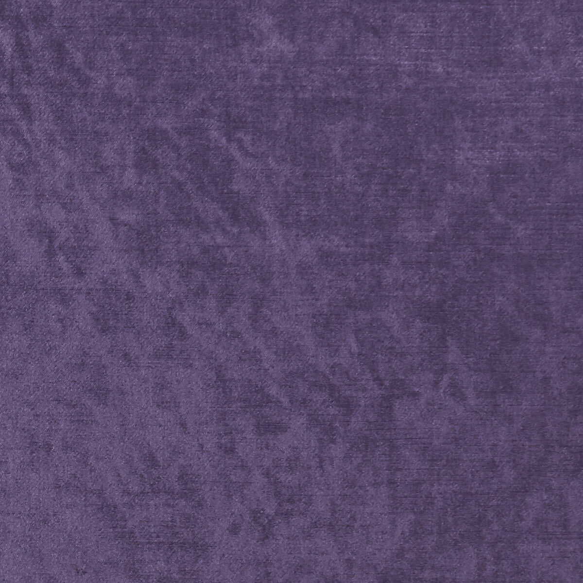 CLARKE AND CLARKE F1069/18.CAC.0 ALLURE GRAPE Fabric - Eade's Wallpaper
