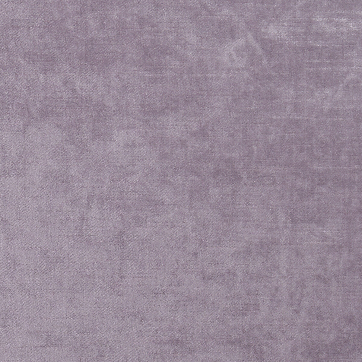 CLARKE AND CLARKE F1069/19.CAC.0 ALLURE HEATHER Fabric - Eade's Wallpaper