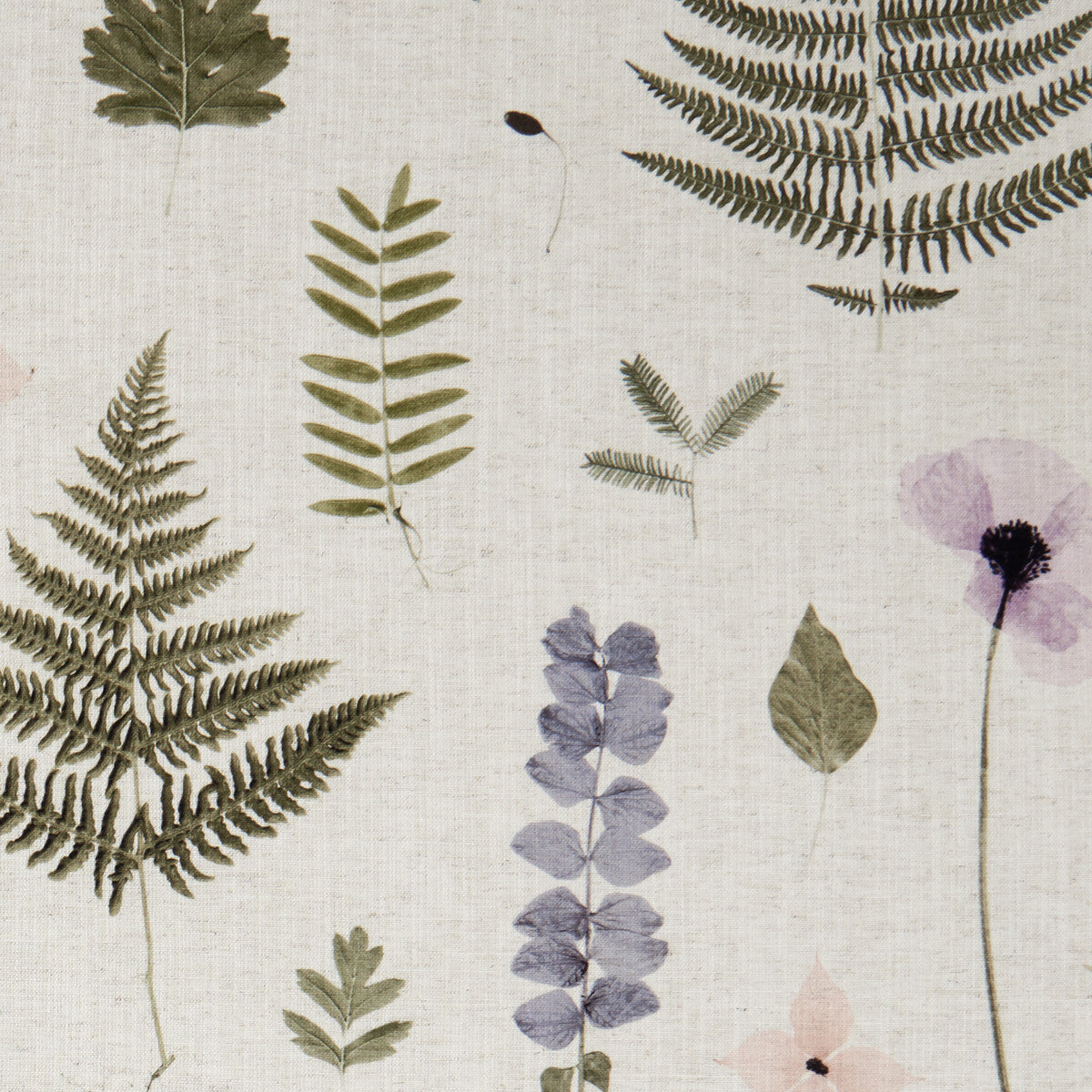 CLARKE AND CLARKE F1089/01.CAC.0 HERBARIUM BLUSH/NATURAL Fabric - Eade's Wallpaper