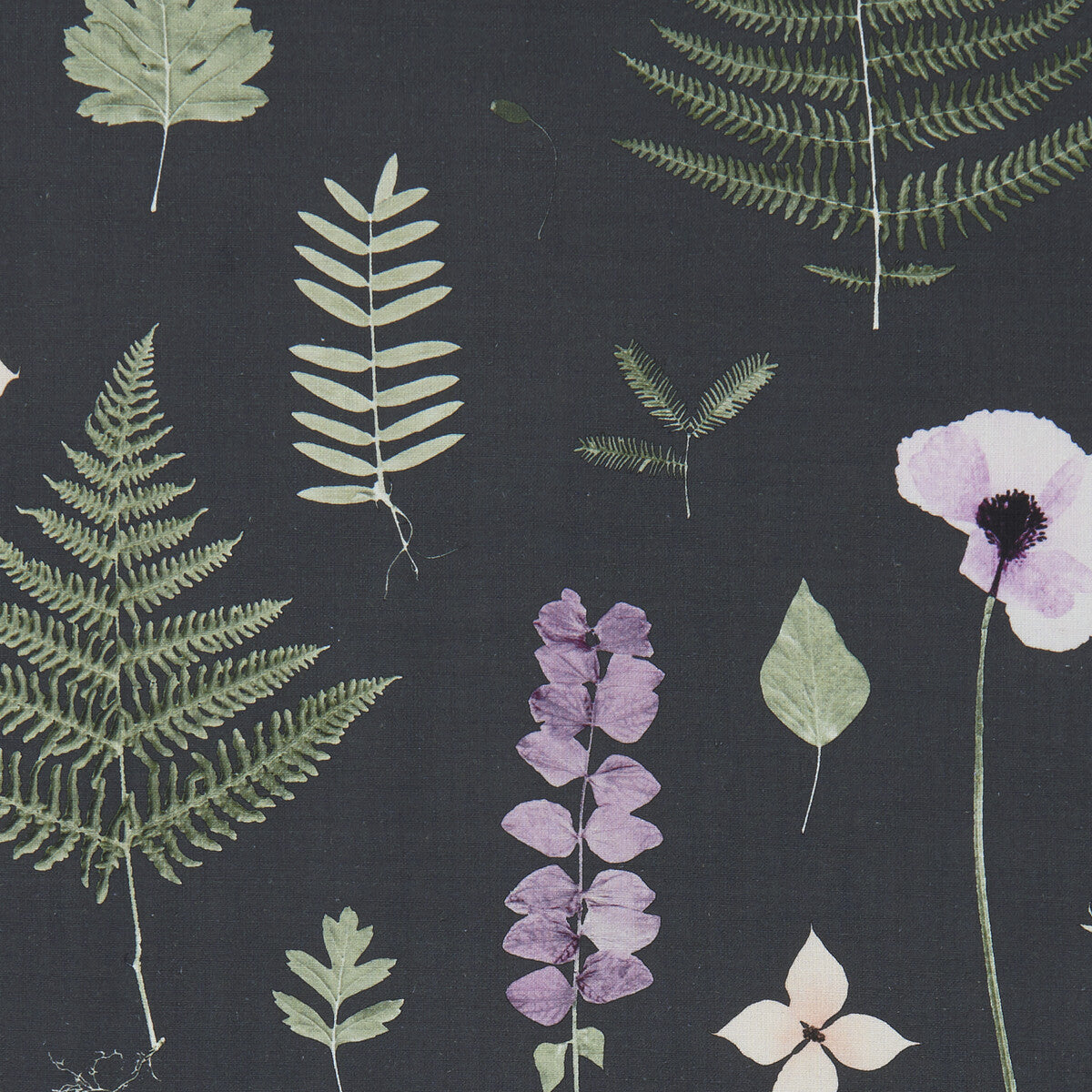 CLARKE AND CLARKE F1089/03.CAC.0 HERBARIUM HEATHER/EBONY Fabric - Eade's Wallpaper