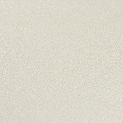 CLARKE AND CLARKE F1091/01.CAC.0 ISLA IVORY/GILVER Fabric - Eade's Wallpaper