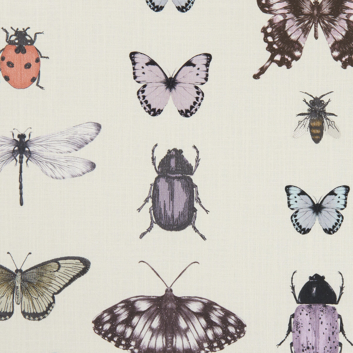 CLARKE AND CLARKE F1093/03.CAC.0 PAPILIO HEATHER/IVORY Fabric - Eade's Wallpaper