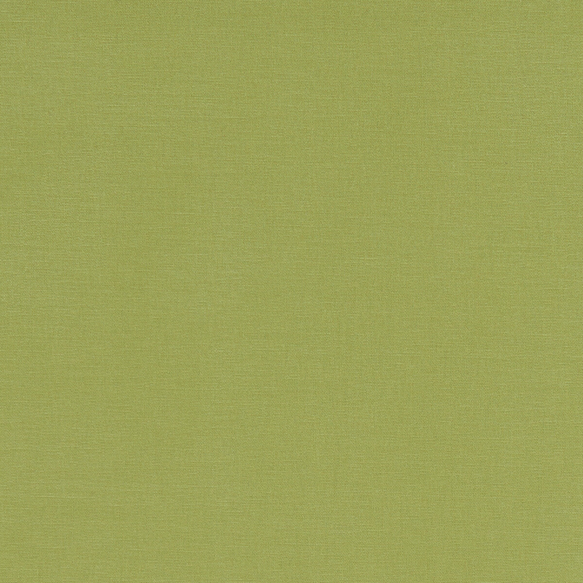 CLARKE AND CLARKE F1097/01.CAC.0 ALORA APPLE Fabric - Eade's Wallpaper