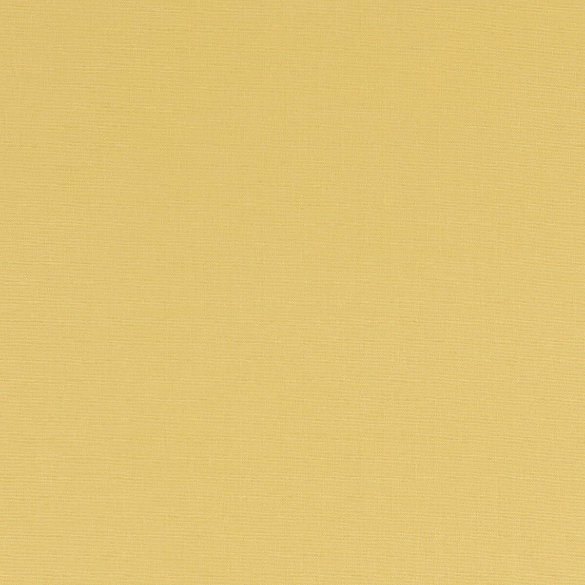 CLARKE AND CLARKE F1097/04.CAC.0 ALORA BUTTERCUP Fabric - Eade's Wallpaper