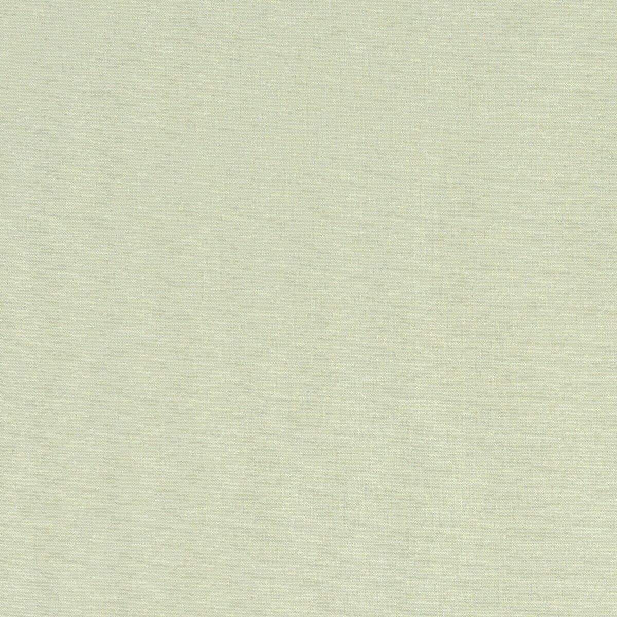 CLARKE AND CLARKE F1097/05.CAC.0 ALORA CELADON Fabric - Eade's Wallpaper