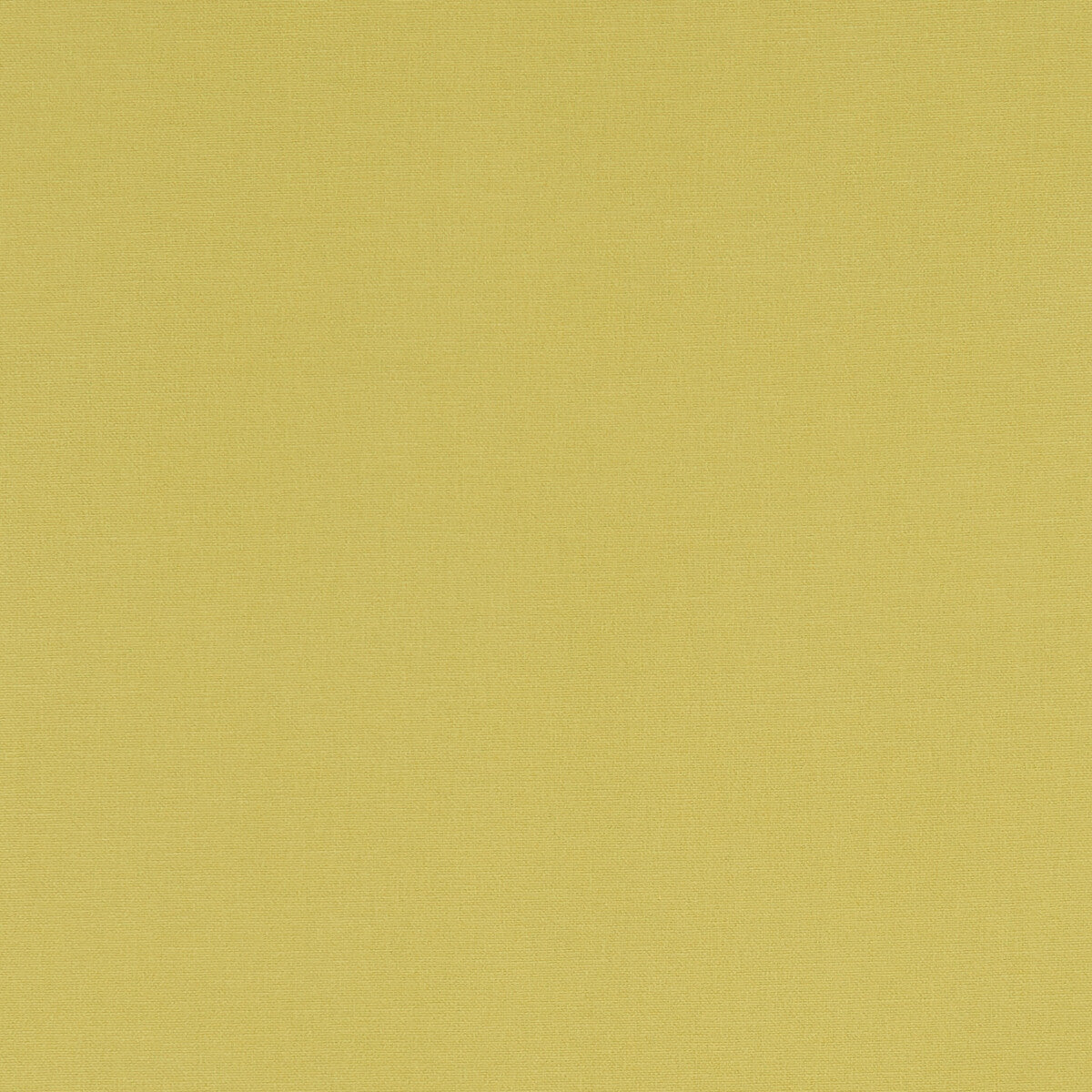 CLARKE AND CLARKE F1097/06.CAC.0 ALORA CELERY Fabric - Eade's Wallpaper