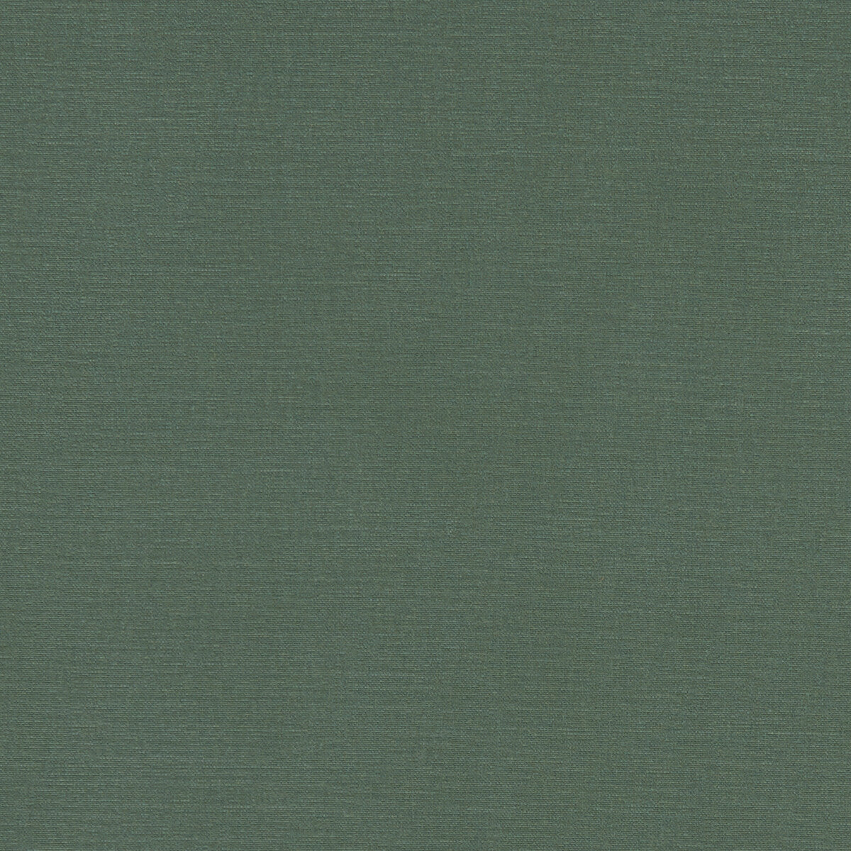 CLARKE AND CLARKE F1097/19.CAC.0 ALORA FOREST Fabric - Eade's Wallpaper