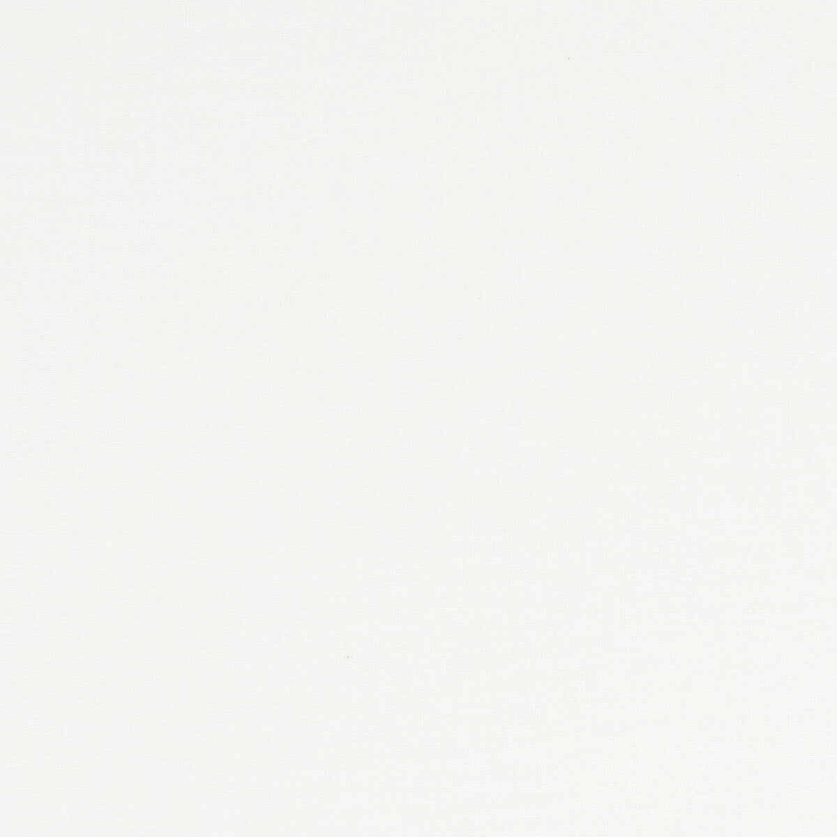 CLARKE AND CLARKE F1097/29.CAC.0 ALORA IVORY Fabric - Eade's Wallpaper