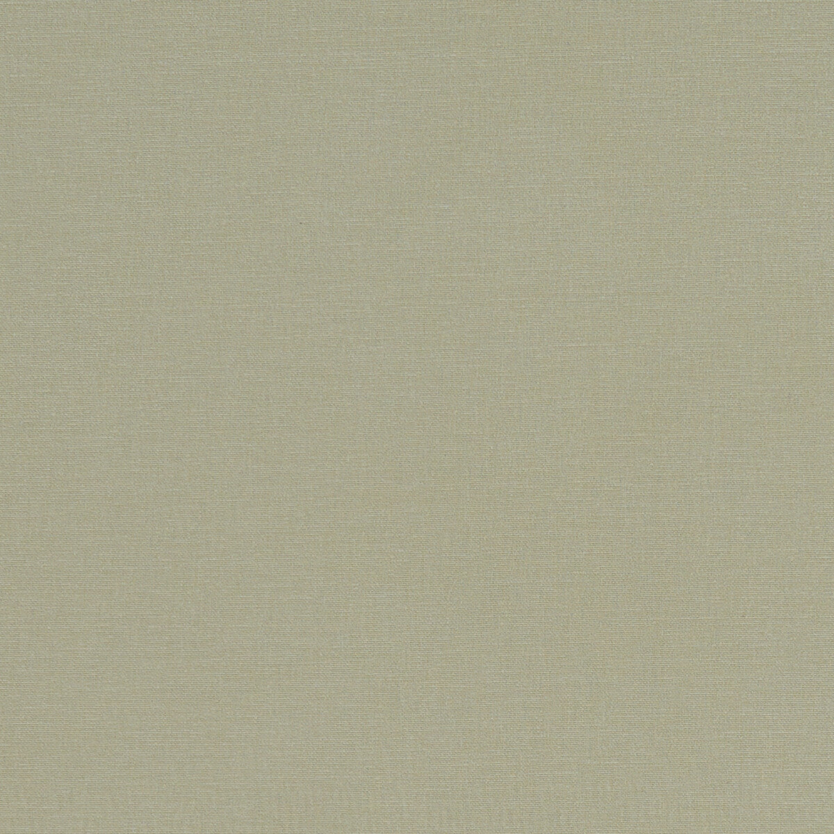 CLARKE AND CLARKE F1097/30.CAC.0 ALORA KHAKI Fabric - Eade's Wallpaper