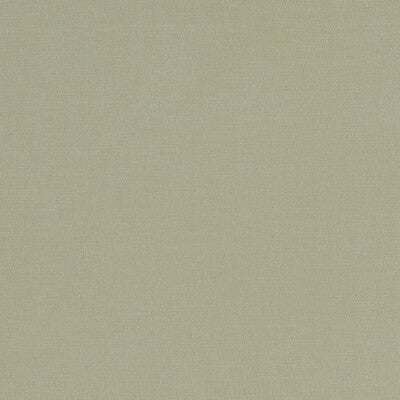 CLARKE AND CLARKE F1097/30.CAC.0 ALORA KHAKI Fabric - Eade's Wallpaper
