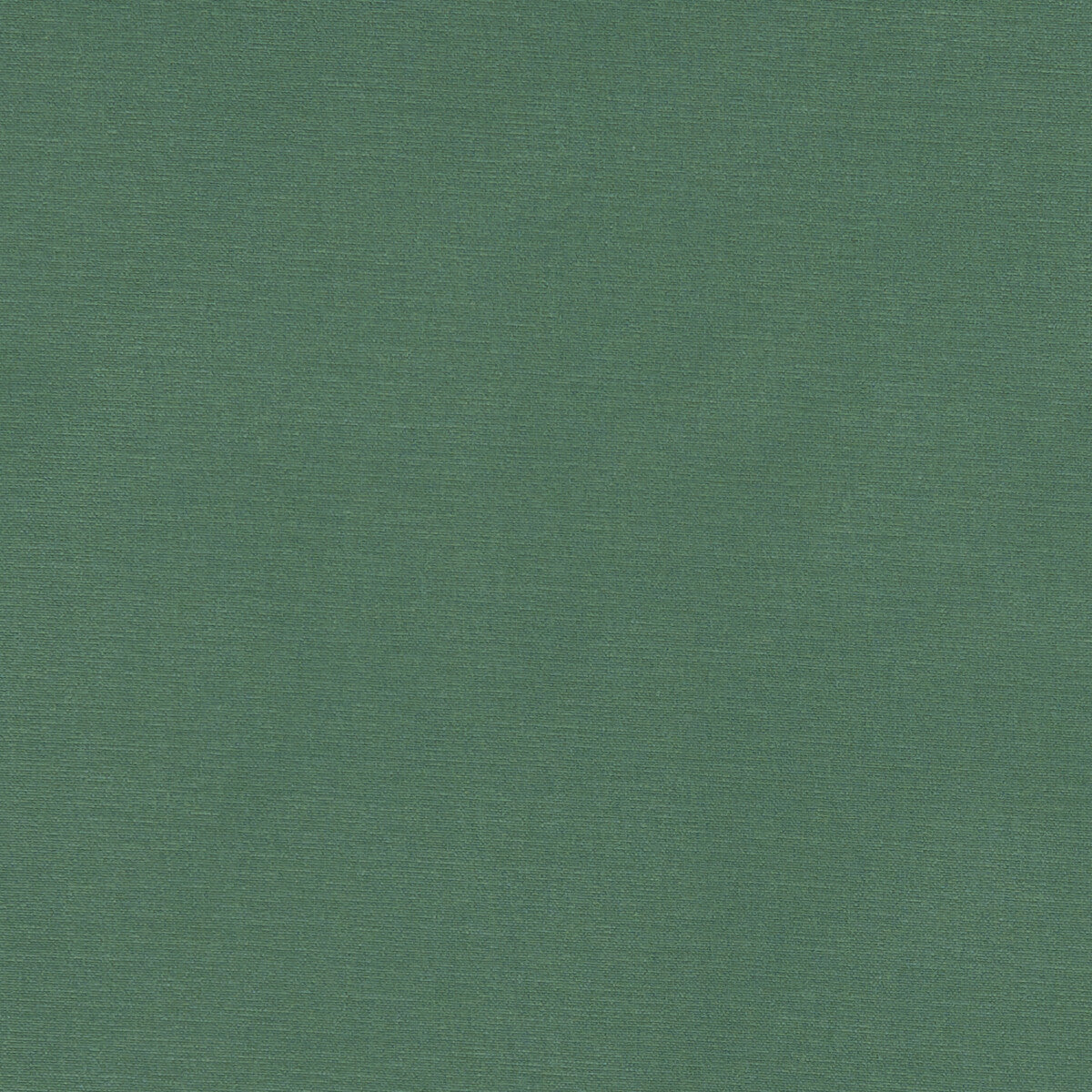 CLARKE AND CLARKE F1097/31.CAC.0 ALORA LEAF Fabric - Eade's Wallpaper