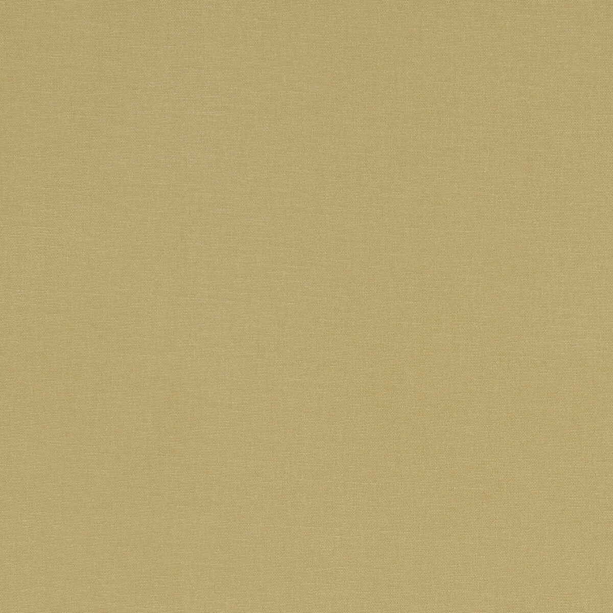 CLARKE AND CLARKE F1097/35.CAC.0 ALORA MALT Fabric - Eade's Wallpaper