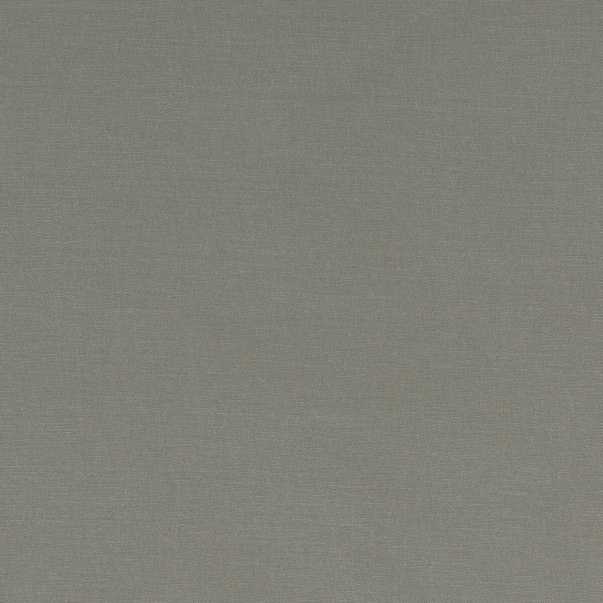 CLARKE AND CLARKE F1097/38.CAC.0 ALORA MINK Fabric - Eade's Wallpaper