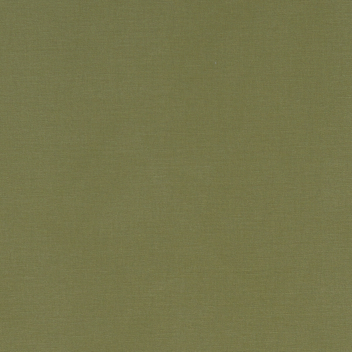 CLARKE AND CLARKE F1097/41.CAC.0 ALORA MOSS Fabric - Eade's Wallpaper