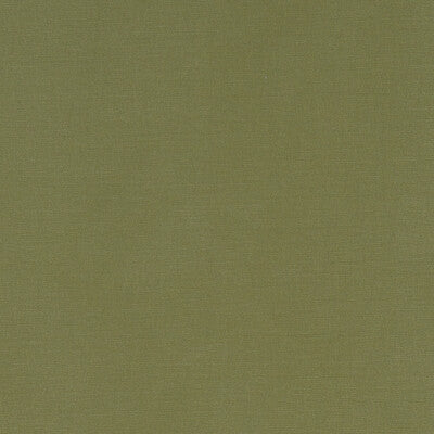 CLARKE AND CLARKE F1097/41.CAC.0 ALORA MOSS Fabric - Eade's Wallpaper