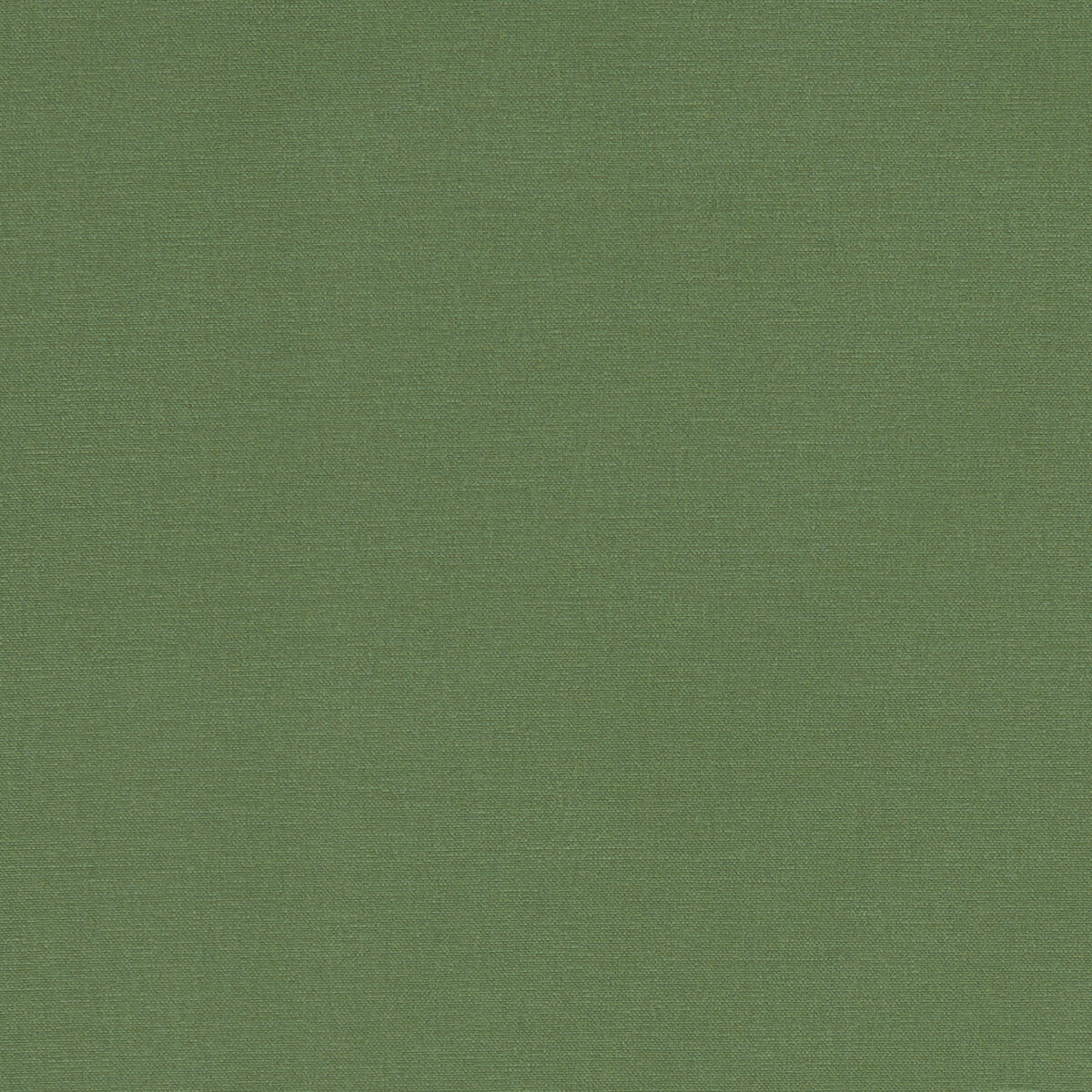 CLARKE AND CLARKE F1097/43.CAC.0 ALORA PALM Fabric - Eade's Wallpaper