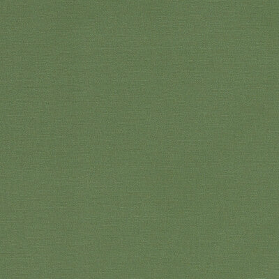 CLARKE AND CLARKE F1097/43.CAC.0 ALORA PALM Fabric - Eade's Wallpaper