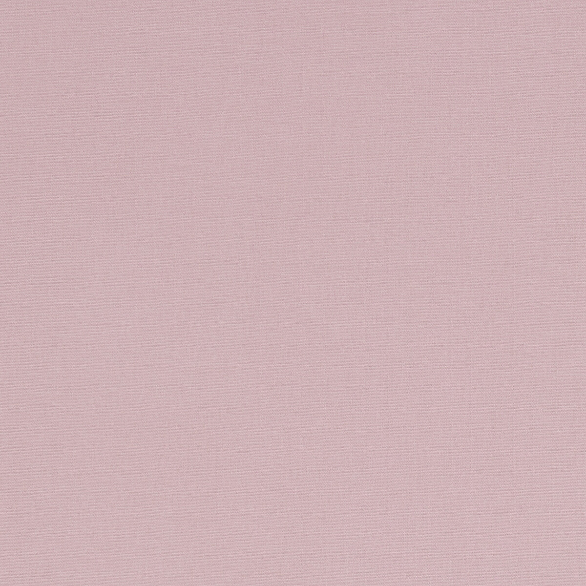 CLARKE AND CLARKE F1097/48.CAC.0 ALORA PEONY Fabric - Eade's Wallpaper