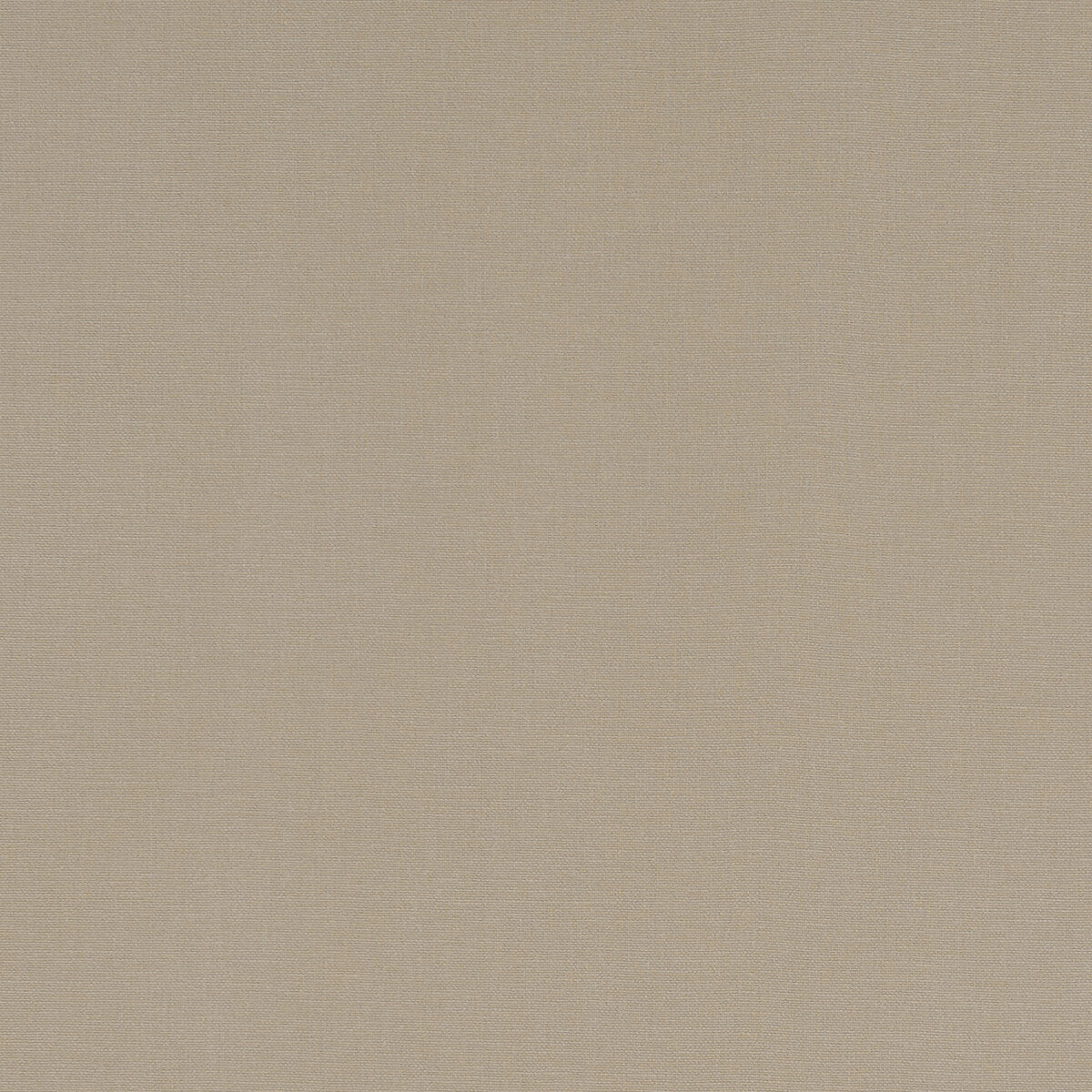 CLARKE AND CLARKE F1097/55.CAC.0 ALORA SAND Fabric - Eade's Wallpaper