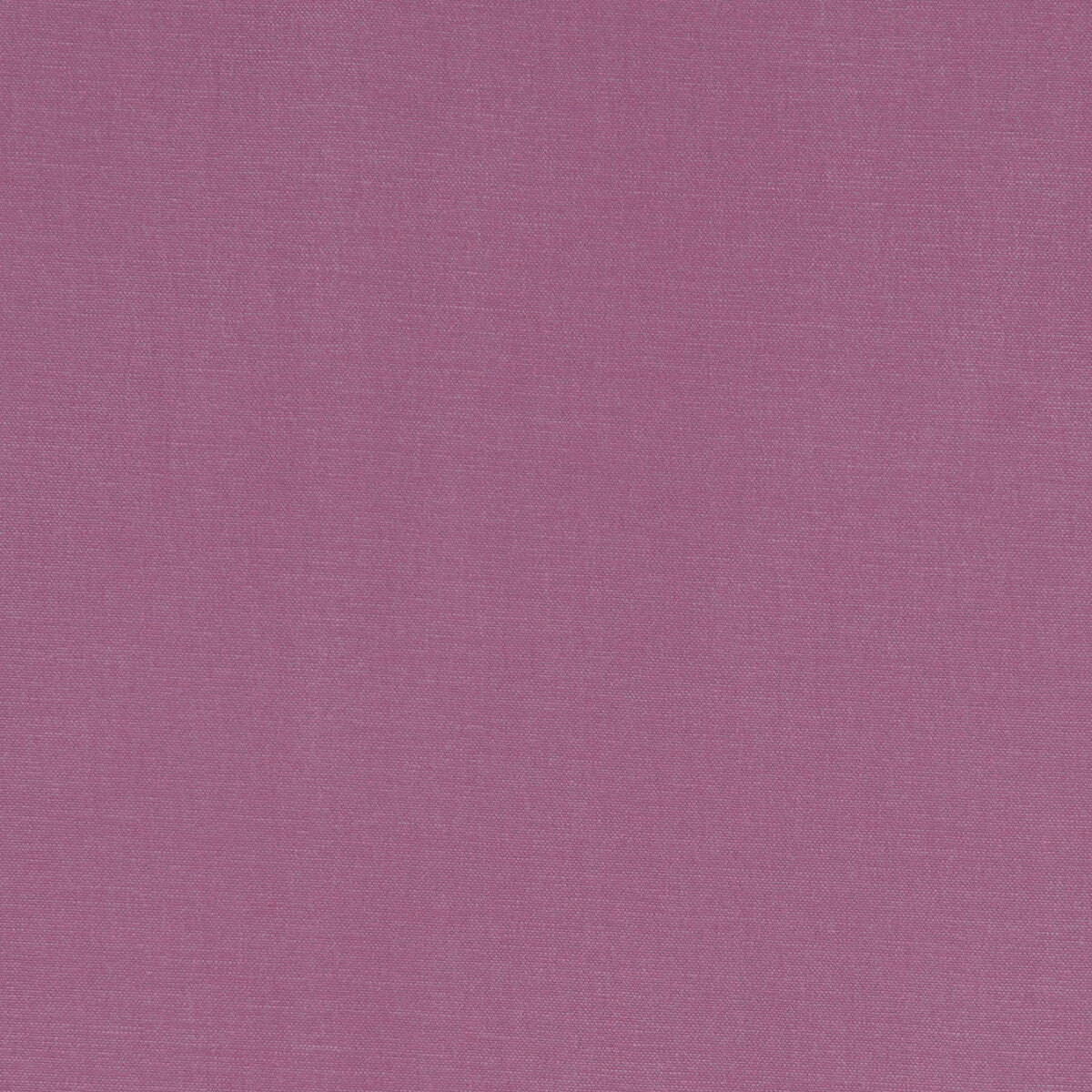 CLARKE AND CLARKE F1097/59.CAC.0 ALORA SORBET Fabric - Eade's Wallpaper