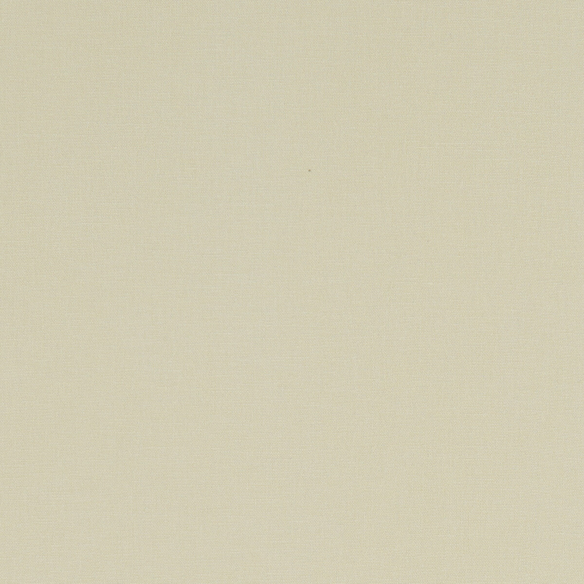 CLARKE AND CLARKE F1097/62.CAC.0 ALORA STONE Fabric - Eade's Wallpaper