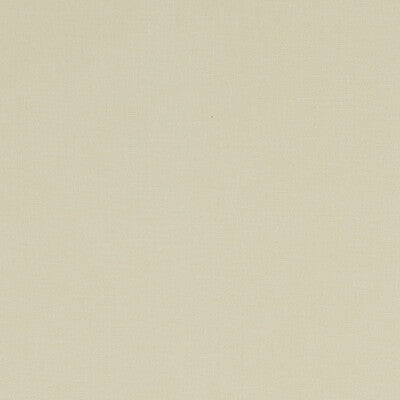 CLARKE AND CLARKE F1097/62.CAC.0 ALORA STONE Fabric - Eade's Wallpaper