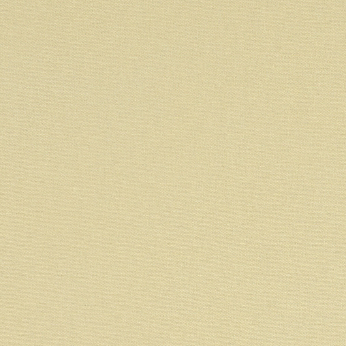 CLARKE AND CLARKE F1097/63.CAC.0 ALORA STRAW Fabric - Eade's Wallpaper