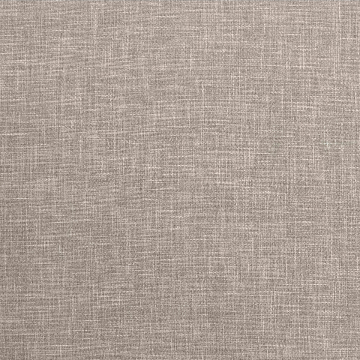 CLARKE AND CLARKE F1098/16.CAC.0 ALBANY LATTE Fabric - Eade's Wallpaper