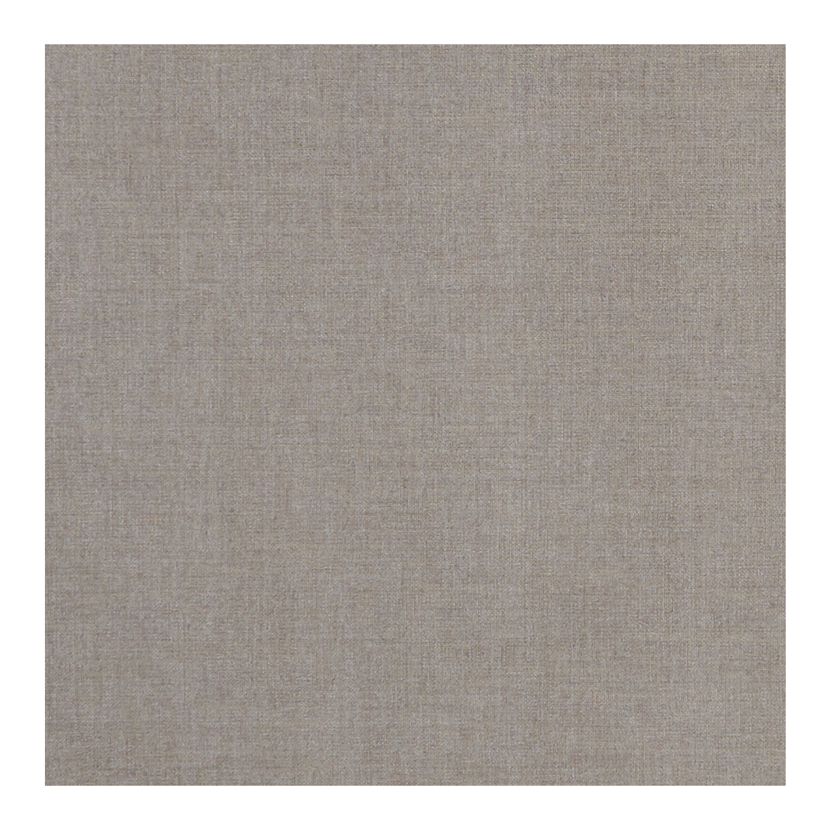 CLARKE AND CLARKE F1098/20.CAC.0 ALBANY MINK Fabric - Eade's Wallpaper