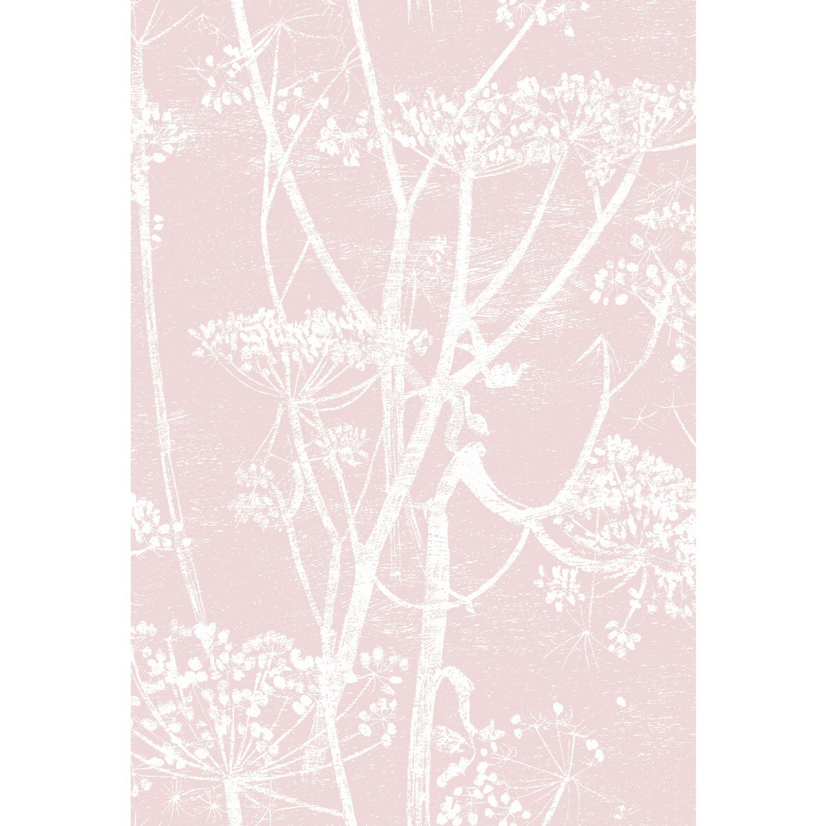 COLE & SON F111/5018.CS.0 COW PARSLEY WHT BALLE SLIP Fabric - Eade's Wallpaper