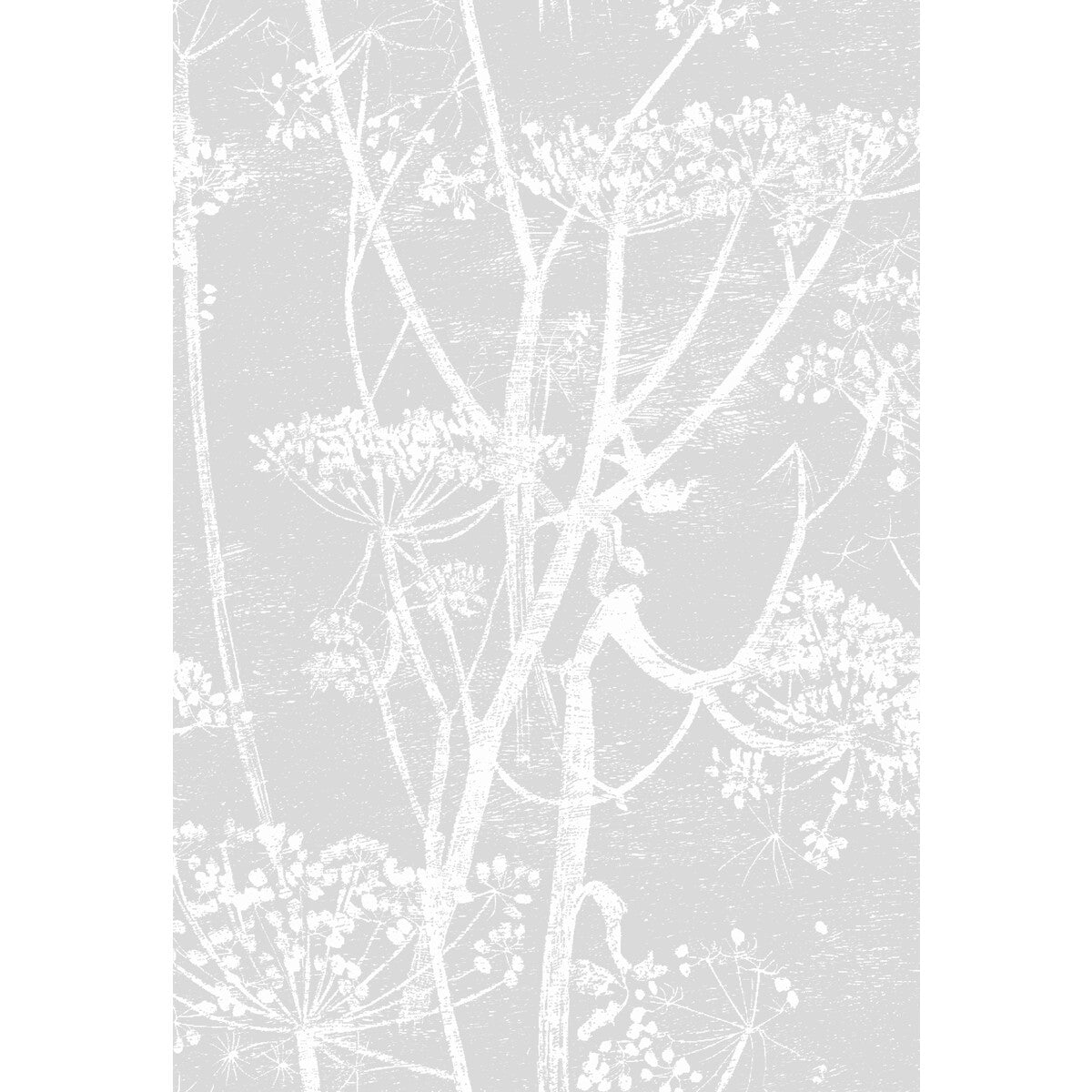 COLE & SON F111/5021.CS.0 COW PARSLEY SOFT GREY Fabric - Eade's Wallpaper
