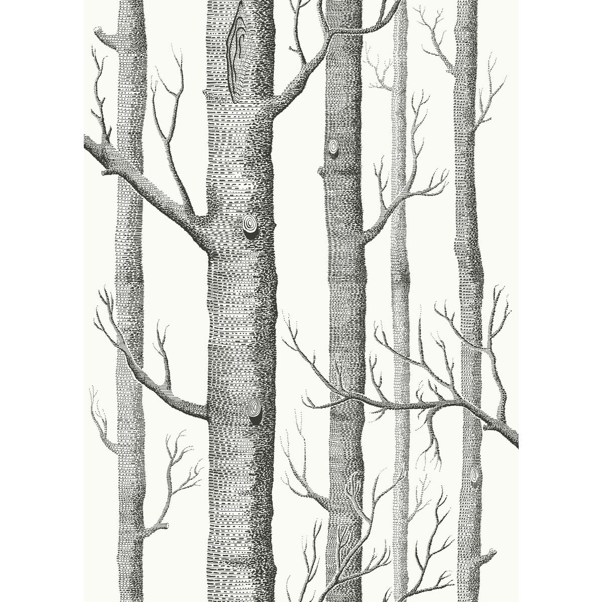 COLE & SON F111/7026L.CS.0 WOODS BLK WHT Fabric - Eade's Wallpaper