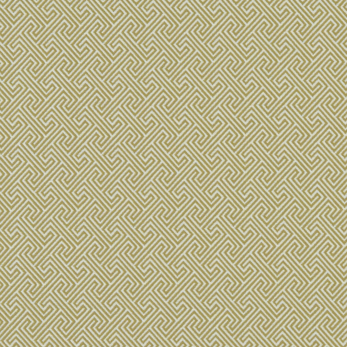 CLARKE AND CLARKE F1131/01.CAC.0 MERCURY CITRON Fabric - Eade's Wallpaper