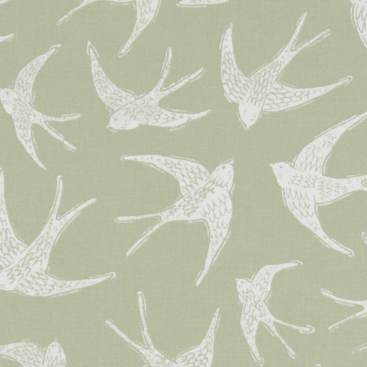CLARKE AND CLARKE F1187/05.CAC.0 FLY AWAY SAGE Fabric - Eade's Wallpaper