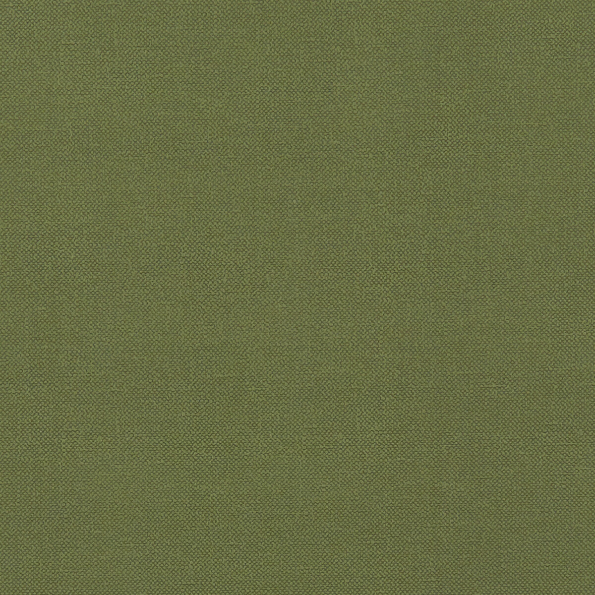 CLARKE AND CLARKE F1231/11.CAC.0 RENZO FOREST Fabric - Eade's Wallpaper