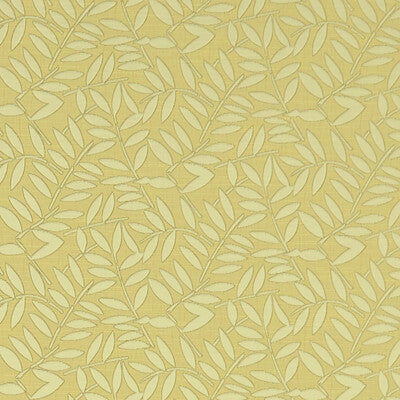 CLARKE AND CLARKE F1238/03.CAC.0 HOLLINS CITRUS Fabric - Eade's Wallpaper
